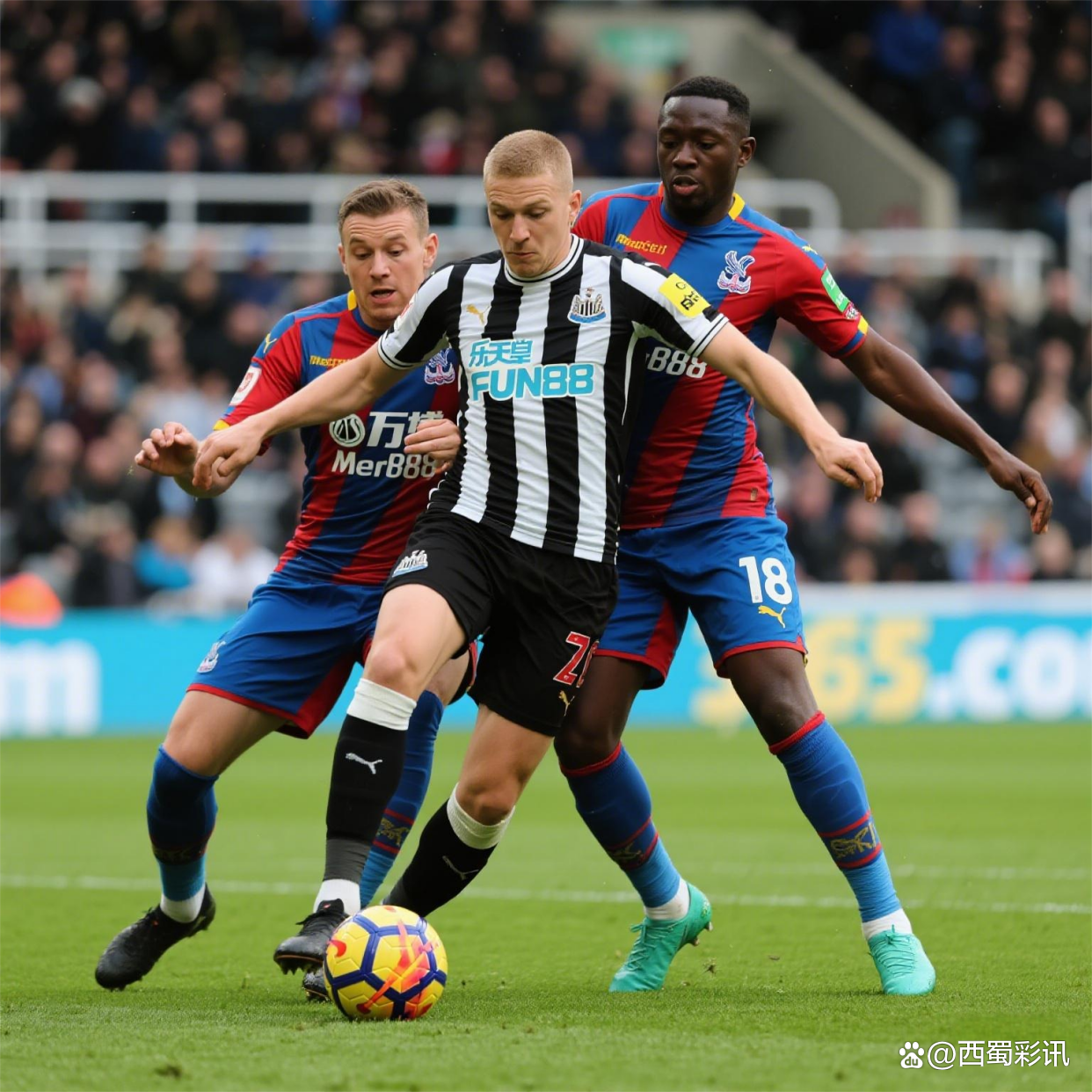 加时末段突围战来临，纽卡斯尔围绕法国杯篮板制胜，目标明确，临场指挥获称赞的简单介绍